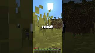 Minecraft chowanego 6