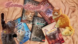 Огляд серії книжок Коти Вояки!