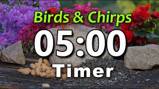 5 Minute Timer | Bird Kiss | ⏰ Bell Alert | No Music | Birds Chirping | Big Numbers