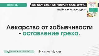 Лекарство от забывчивости - оставление греха | Ханиф Абу Али