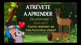 OS ANIMAIS-   1-  QUE SON E COMO REALIZAN AS 3 FUNCIÓNS VITAIS