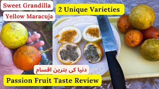 World's Best Passion Fruit In Pakistan | Taste Review | Sweet Grandilla | Yellow Maracuja |