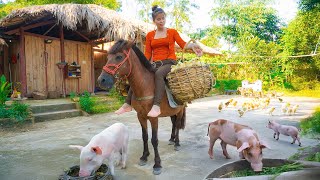 Full Video: Use Horse Go To Market To Buy Pigs, Chickens, Ducks To Raise - Build Chicken Coop