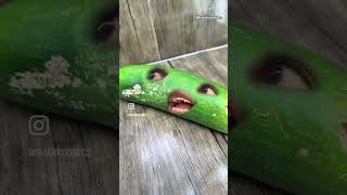 Shankcomics , the breakup (if cucumbers can talk) pt 1 #comedy #viral #shorts #funny #subscribe