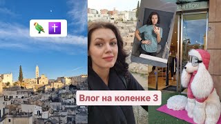 Неделя влогов! День 3. Slow Living по-итальянски. Одна в городе. Впитываю атмосферу Рождества.