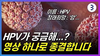 HPV 바이러스, HPV 고위험군, HPV 검사, HPV 완치, HPV 치료, HPV 남자 총정리!