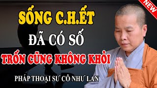 SỐNG C.H.Ế.T ĐÃ CÓ SỐ, NGHIỆP ĐẾN SAO TRÁNH KHỎI ĐƯỢC (Rất Hay) - Pháp Thoại Sư Cô Như Lan