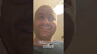 Colmo per una #gallina ? 🤣 #videodivertenti #videofunny #comedy #humor #video #colmi #FunnyVideos