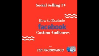 How to Exclude Custom Audiences