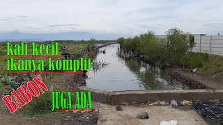 kali kerikan.kali kecil ikanya komplit.mancing asik.mancing rucah.fishing.hunter fish