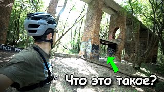 ЧЕРНЯЕВСКИЙ ЛЕС (БАЛАТОВСКИЙ ПАРК) / ИССЛЕДОВАНИЕ ЛЕСНЫХ ТРОП 🚴