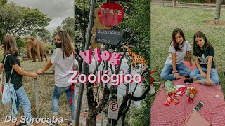 Passeio no zoológico 🌧🐘