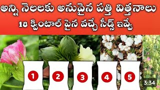 అన్ని నెలలకు అనువైన పత్తి విత్తనాలు #2024 #best_cotton_seed #gaitri_gold #ajeet_cotton #rasi_seed