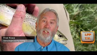 Sierra Bright Dot Fly Fishing Service's Fred Rowe delivers this week's Fly Fishing Report 6/19/24