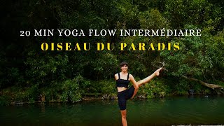 Yoga flow ♥︎ oiseau du paradis