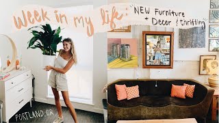 Updates in the new apartment: a week of decorating & furnishing | The Moving Diaries pt.5