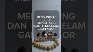 MENGAPUNG BENARKAH.???#viral #batuakik #preciousgems #fosil #galihkelor #buktikan #usaha #bali