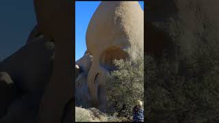 Skull Rock - Joshua Tree National Park #shorts #roadtosomethingnew