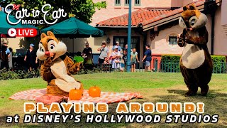 🔴 LIVE - Disney's Hollywood Studios Livestream - Disney World 09.12.24