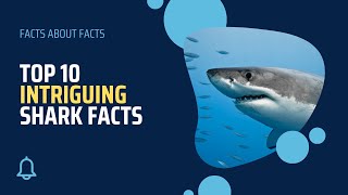 These Shark Facts Are Wilder Than Fiction