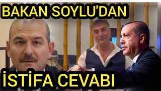 Flash Haber Süleyman Soylu İstifa Cevabı?