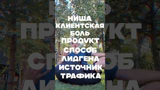 1 ниша  1 клиентская боль  1 продукт 1 способ обработки Лида 1 Источник трафика