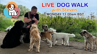 Monday Morning Dog Walk with Steven - Crighton Pet Services is live