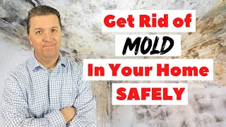 Mold Removal - How to Get Rid of Mold in Your Home