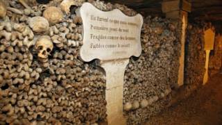 The Paris Catacombs Tell Officials A Horrifying Story 1