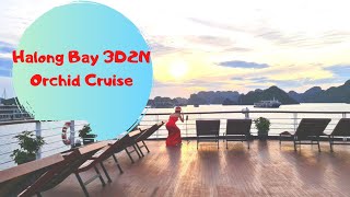 Halong Bay 3 days 2 nights with Orchid Cruise