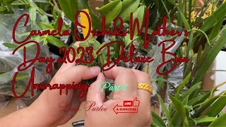 Carmela Orchids Mother’s Day 2023 Deluxe Box Unwrapping || Part 1 || #mylittlejungle #orchidmom