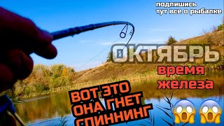 ОСЕННЯЯ ЩУКА ПРЕДПОЧИТАЕТ ЖЕЛЕЗО 🎣. МЕПС ПРОСТО КОСИТ ЩУКУ 😱. Поставил эту пиманку и понеслось