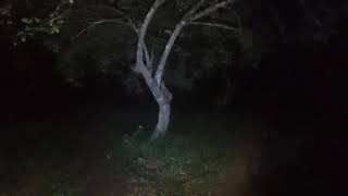 Live Misteri - Sosok seram si lidah panjang