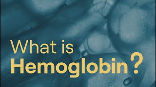 What is Hemoglobin?