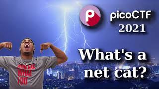 PicoCTF Walkthru [40] - What's a net cat?