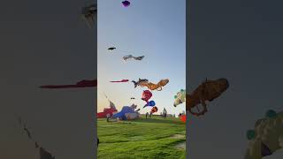 Qatar kite festival at Mia park #shorts #qatarkitefestival #kiteflying #glowwithmak #youtubeshorts