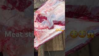 Meat still moving  #vlog  #meat  #shortsfeed  #viral  #viralshorts l