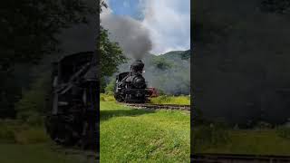 Steam locomotive blowing its whistle around the bend! #trains #steam #scenicrailway