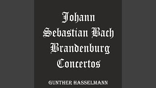 Brandenburg Concerto No. 1 in F Major, BWV 1046: II. Adagio