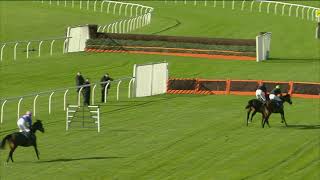 Aintree Countryside Day 2021 - The Charity Race