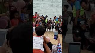 Pelepasan anak penyu Agar di Kg Rantau Abang 16 Sept 2019