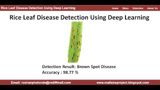 Rice Leaf Disease Detection Using Deep Learning | Rice Plant Disease Classification Using Python