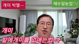 개미퇴치방법~개미박멸~   개미를 잡는방법.