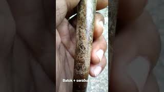 Konten sampah #4 pipa rokok bahan batok + serabut kelapa #short #shorts