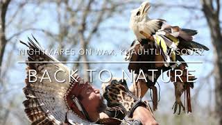 Nightmares On Wax - Back To Nature feat. Kuauhtli Vasquez & Wixarika Tribe (432hz)