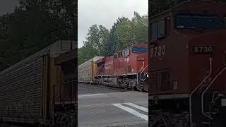 CP 8730 Leads 106.