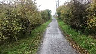 A random scenic trail through the fields