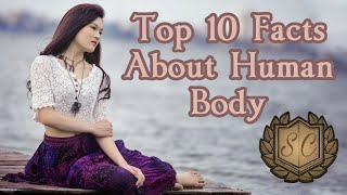 Top 10 Interesting Facts About Human Body - Saiful Chemistry