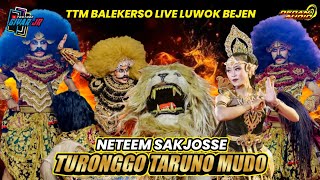 TTM TERBARU🔥 KUDA KEPANG TURONGGO TARUNO MUDO TTM BALEKERSO LIVE LUWOK BEJEN