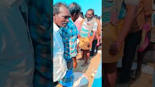 💥😋அதிக சுவை கொண்ட புள்ளி திருக்கை மீன் 🤯வெறும் 560 ரூபாய் தானா⁉️ #shorts #viral #fishing #mrpalkova